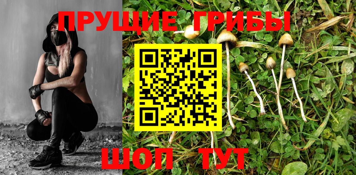 Псилоцибиновые грибы мухоморы  Вход с VPN  Галлюциногенные грибы Psilocybe  Пугачёв 