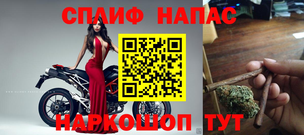 Каннабис сатива Пугачёв